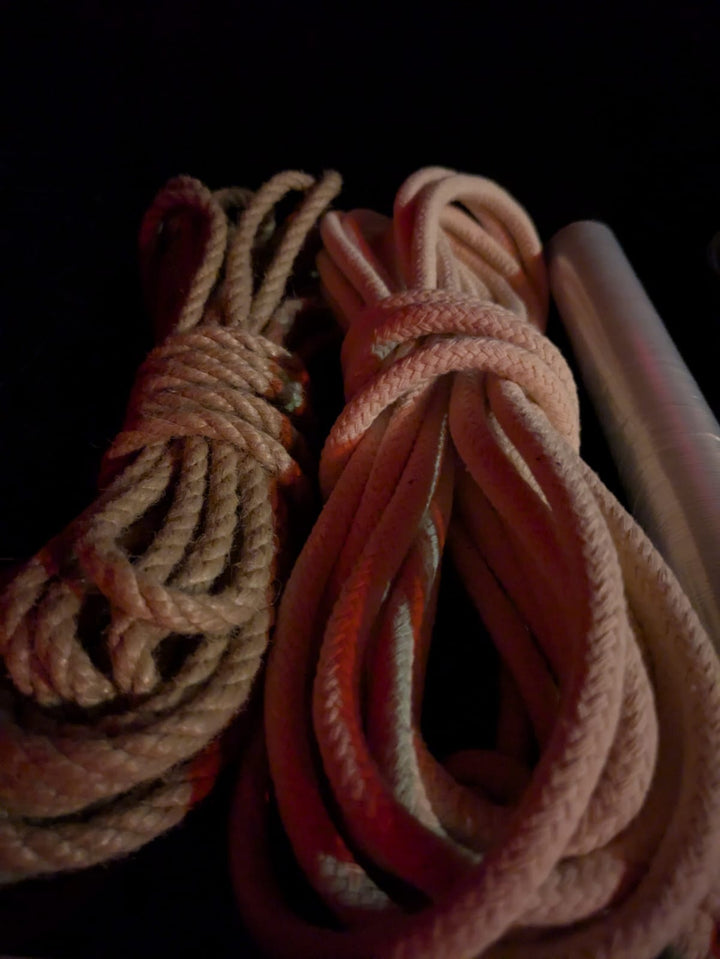 Zwischen Vertrauen und Technik: Mein Besuch beim BDSM ‚neuGIERIG‘-Workshop von Gillian Events