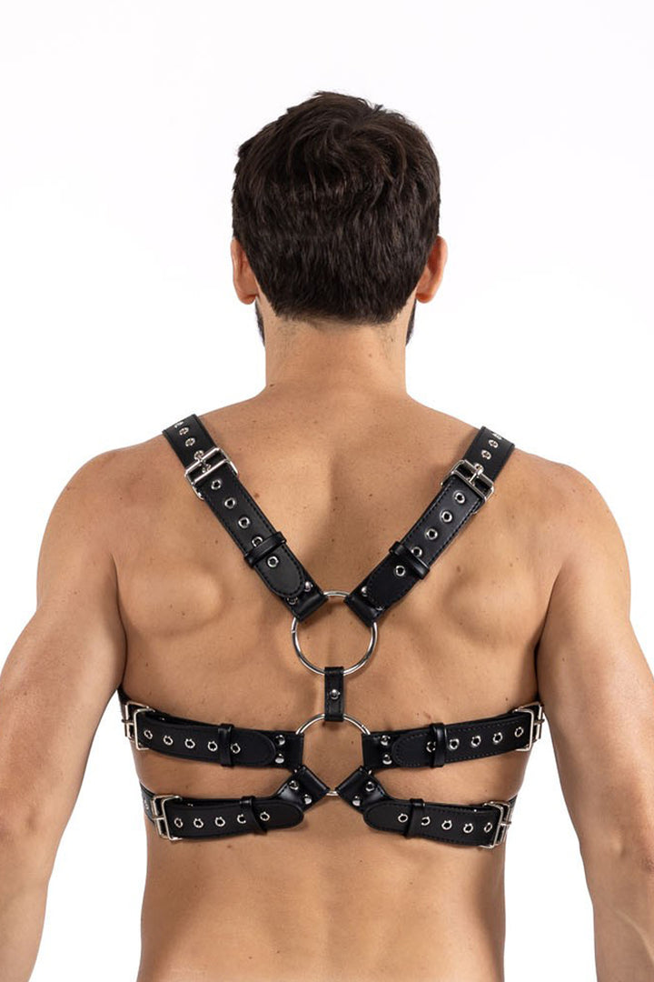 Rückenansicht Harness LM275019BLK mit großem Ring und 6 Schnallen