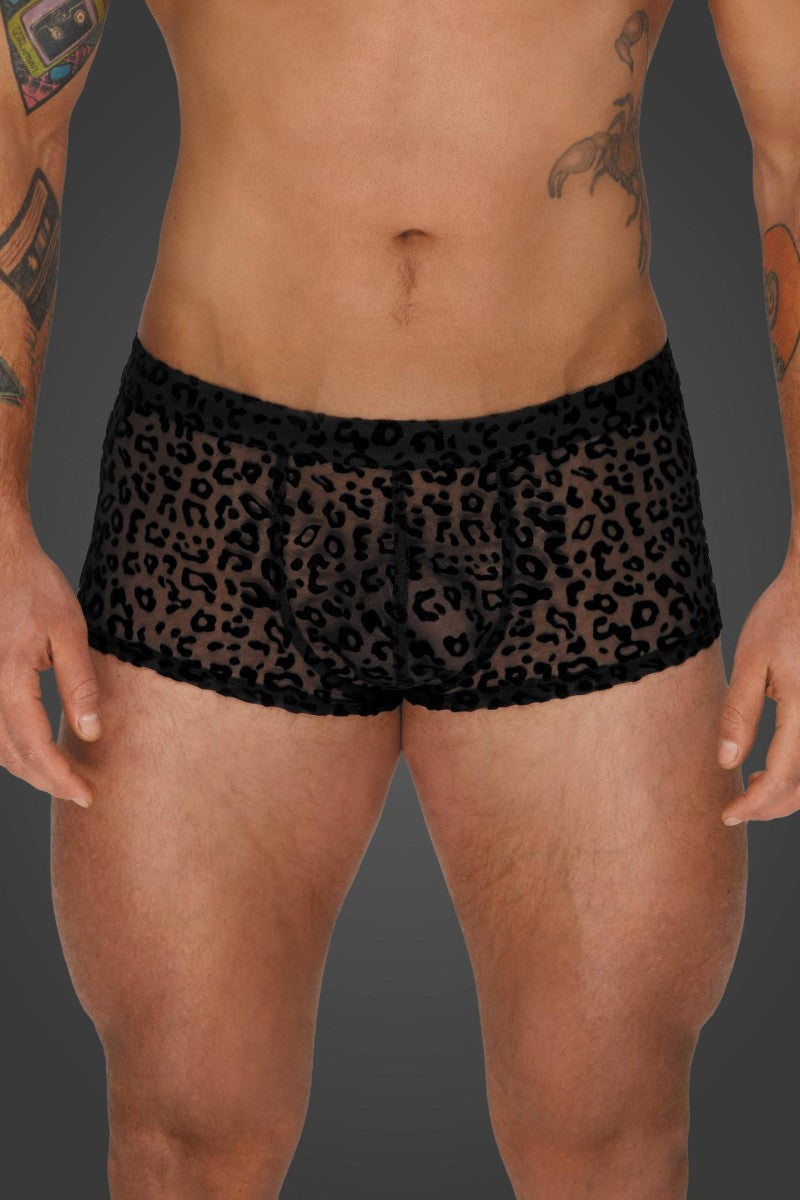 Leopard Flock Shorts H072 - 3XL-0