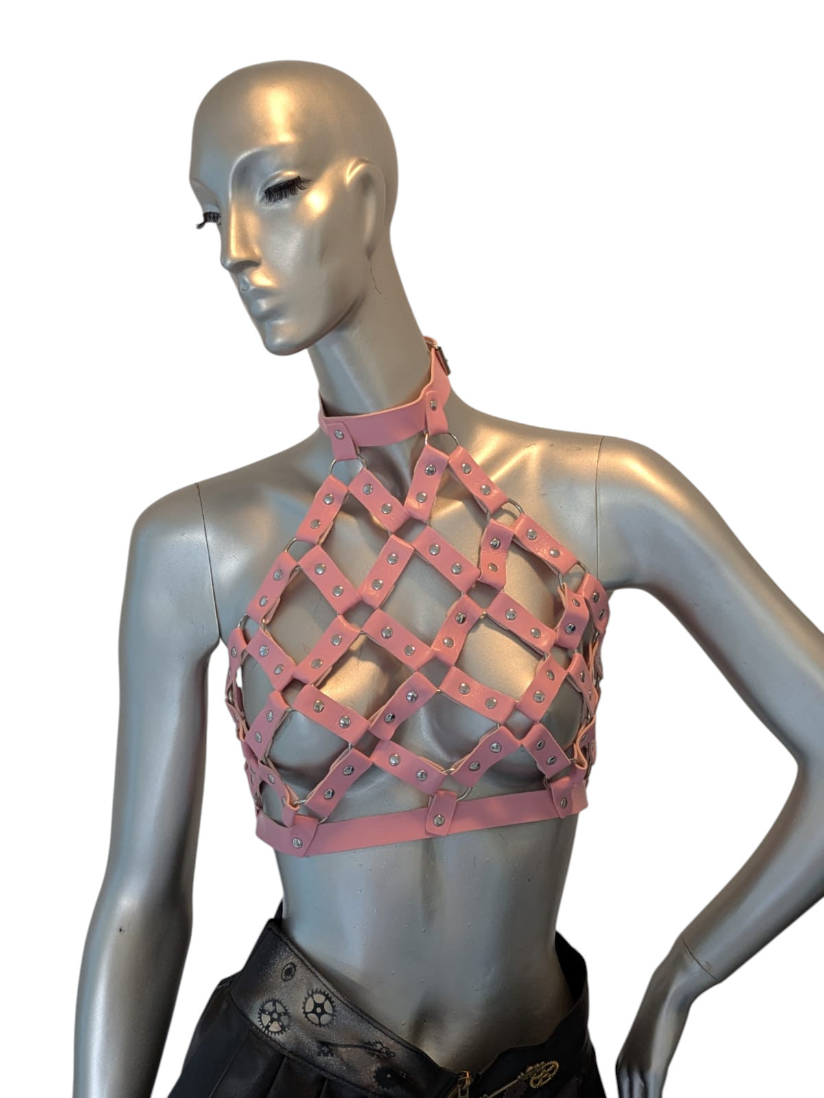 🌈 Rainbow / 💗 Pink / 🌸 Pink Leather Body Harness 