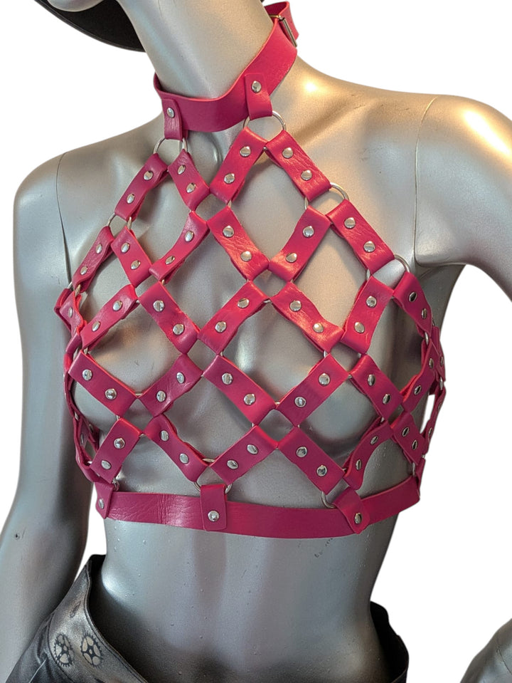 🌈 Rainbow / 💗 Pink / 🌸 Rosa Leather Body Harness